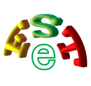 Quanzhou Fushite Electric Co., Ltd. logo