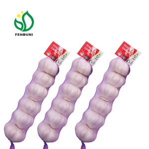Frais chine <span class=keywords><strong>ail</strong></span> <span class=keywords><strong>d</strong></span>'<span class=keywords><strong>éléphant</strong></span> en 2019 nouvelle récolte - Product Image 5