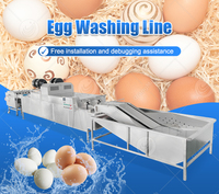 Ligne de lavage d'œufs de volaille haute capacité, ligne de production de lave-œufs commerciale, ligne de lavage et de triage d'œufs entièrement automatique