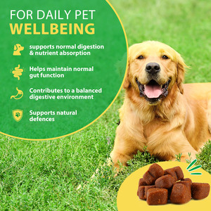 Oimmal 30 Masticables Blandos para la Salud Digestiva e Intestinal, Suplemento Natural para Mascotas, Golosinas para <span class=keywords><strong>Perros</strong></span>, Masticables Blandos Probióticos para Mascotas - Product Image 3