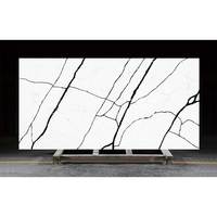 Revêtement mural extérieur et plan de toilette en pierre de quartz blanc veiné noir intense moderne DCT CN7110