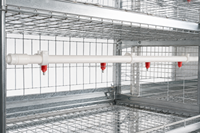 Nouveau système d'élevage de poulets en cage de type H, personnalisé, à 3/4 niveaux, style américain, avec rideaux de nidification rouges flexibles, haute productivité