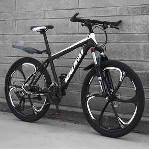 Vélo de montagne vintage <span class=keywords><strong>ERMA</strong></span> 24 pouces, suspension personnalisée, fourche en acier, frein à disque, 21/24/27/30 vitesses - Product Image 4