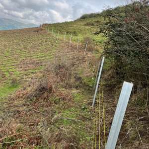 Cerca Eléctrica Lanstar LX-PX050S 1.0J Impermeable de 12KV con Pantalla LED, para Granjas, Enrejados y Puertas, 8KM, Marco de Plástico de 3 pies, Fácil de Instalar - Product Image 3