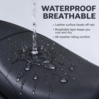 Ensemble de coussin de siège en cuir confortable pour ADV160, imperméable et respirant avec soutien lombaire