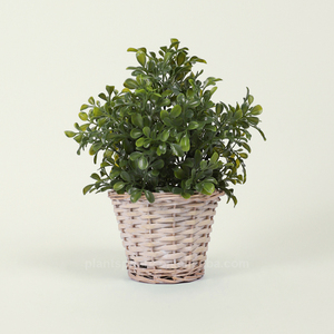 Vente en gros de plantes artificielles pot tissé buis arbustes verdure ciboulette lavande <span class=keywords><strong>romarin</strong></span> bonsaï pour table maison intérieur centre commercial décoration - Product Image 2
