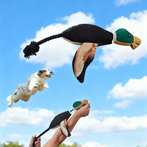Katapult-Flugenten-Spielzeug für Haustiere zum Spielen im Freien, Training, interaktives Quietschspielzeug, schwimmendes EVA-Plüschspielzeug für Hunde - Product Image 1