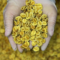 Matière première de Luo Han Guo en vrac pour thé aux herbes, édulcorant naturel de qualité alimentaire, certifié ISO 22000, Anhui