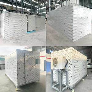 Cámara Frigorífica Portátil para la Industria de Frutas, Verduras y Carne, Cámara de Refrigeración Portátil para Aves de Corral - Product Image 2