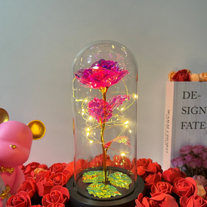 Luz Nocturna de Rosa Eterna con Cubierta de Cristal, Regalo para Cumpleaños, San Valentín, Novia, Madre, Decoración con Diseño de <span class=keywords><strong>Rosas</strong></span> - Product Image 2