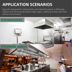 Hotte d'extraction commerciale personnalisable en acier inoxydable avec éclairage pour zones de lavage et de cuisson à <span class=keywords><strong>la</strong></span> vapeur professionnelles - Product Image 5