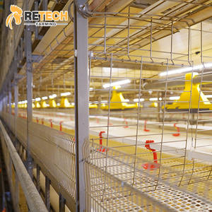 Automatische Kippenkooien Van Het Type Pluimvee-Uitrusting Vleeskuikens - Product Image 1