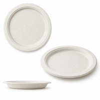 Assiette ronde personnalisée de 10 pouces en bagasse, avec matériau compostable de qualité supérieure, design écologique et recyclable