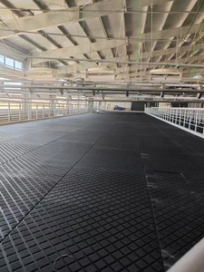 Tapis de sol en caoutchouc personnalisé en usine 15mm tapis de sol en caoutchouc industriel antidérapant en rouleau sol de gymnastique Simple - Product Image 5