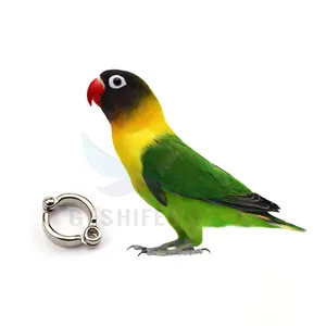 Wholesale 2023 Cheap Inner 3.5mm 4.5mm 5.5mm 6.5mm 7.5mm 8.5mm 9.5mm 11.5mm 14.5mm Alloy Canary Parrot Bird Pigeon Foot Leg Ring