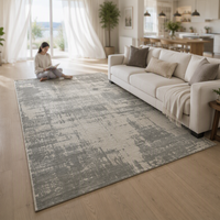 Tapis antistatique grand format 240x340cm 300x400cm, résistant à la poussière, facile à nettoyer avec un aspirateur, pour les personnes allergiques, maison et bureau