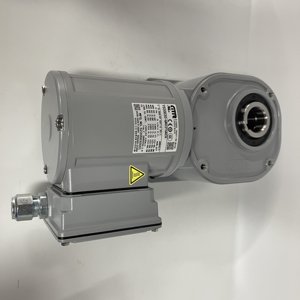 Motor de Engranajes de Eje Hueco GTR FS30S30-WM02TWNEN - Product Image 1