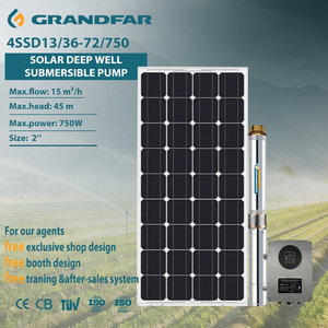 Grandfar 1HP 110V High 40m Immersion Depth Stainless Steel Irrigation Agriculture Solar Deep Well <b>Submersible</b> <b>Pump</b> 4SSD13/36-72/ - Product Image 1