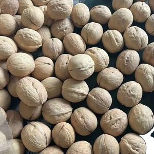 <span class=keywords><strong>Noix</strong></span> de Grenoble Biologiques Séchées Brutes, Aliment Nutritif en Sachet - Product Image 2