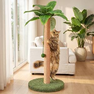 Griffoir pour chat en sisal, design <span class=keywords><strong>palmier</strong></span>, grand modèle sur pied, avec jouet boule en jute suspendue, base en tapis vert - Product Image 3