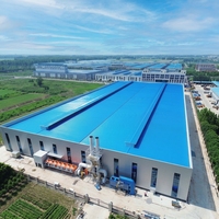 Bâtiment en structure métallique pour entrepôt industriel, atelier et construction d'usine, structure préfabriquée sur mesure