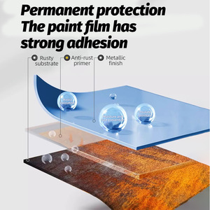 Water-Based <b>Metal</b> Rust-Proof <b>Paint</b> for Iron Gates Railings-<b>Matte</b> for Built-In Brush Spray Roller Application Direct - Product Image 3