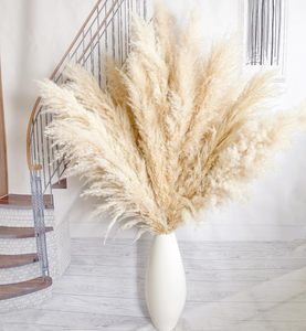 Décoration de mariage bohème en gros : Grandes plumes de pampa naturelles, véritables plumes préservées, plantes artificielles séchées - Product Image 1