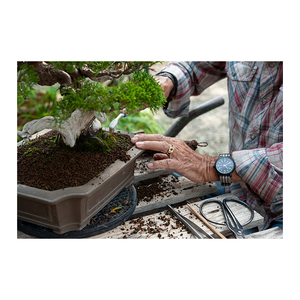 เครื่องเล่นแผ่นเสียงทำจากวัสดุพิเศษจากญี่ปุ่นเครื่องใช้ในสวนบอนไซ P22-08ทำจากวัสดุพิเศษจากญี่ปุ่น - Product Image 4