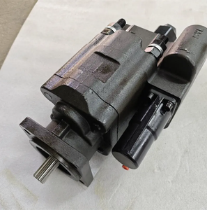 Гидравлический зубчатый насос <span class=keywords><strong>C101</strong></span> <span class=keywords><strong>C102</strong></span> серии <span class=keywords><strong>C102</strong></span>-20(25)-LAS Стандартный самосвал гидравлический насос <span class=keywords><strong>C102</strong></span>-25-LAS - Product Image 6