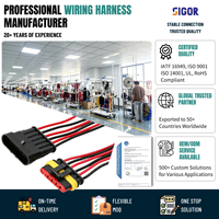 Faisceau de câblage automobile étanche, type AMP, 1 à 6 broches, connecteur mâle/femelle, 18 AWG, terminal en cuivre 1,5 mm, IP67, HID rapide