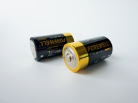 Baterai Alkali FOREWELL 1.5V LR20 Ukuran D Non-Isi Ulang Sel Primer 0% Hg Cd CE untuk Mainan Senter Remote Control