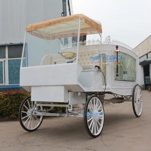 2026 Élégante Carrosse funéraire blanc à chevaux, modèle américain, dernière version, à vendre - Product Image 2