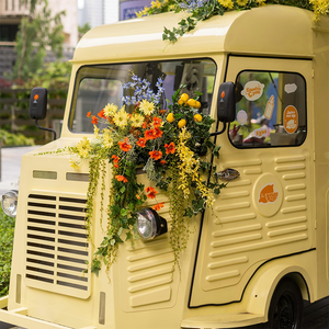 Mobile Gelato Hot Dog Dessert Cart RV <strong>Ice</strong> <strong>Cream</strong> Coffee Truck Shipping Container Food <strong>Trailer</strong> With Deep Fryer - Product Image 4