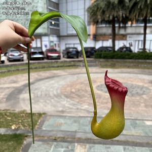 Nhân Tạo Nepenthes Màu Xanh Lá Cây Giả Nhựa Treo Nepenthes Hoa Nhà Máy Cho Lễ Tạ Ơn Văn Phòng Khách Sạn Trang Trí - Product Image 5