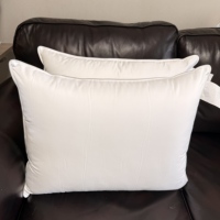 Housse de coussin de luxe anti-acariens et anti-bactérienne, standard hôtelier, micro-douce, pour hôtel et vente au détail
