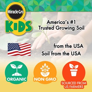 <span class=keywords><strong>Gro</strong></span>ßhandel Miracle <span class=keywords><strong>GRO</strong></span> Mein erster Root Viewer Dekorieren und pflanzen Sie Ihr eigenes Garden Stem Kit für Kinder Educational Gardening Set - Product Image 6