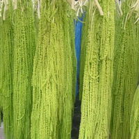 Glycerin-konservierte hängende Amaranthus-Blume – umweltfreundliche Trockenblumen, modisch für Valentinstag & Abschlussfeier