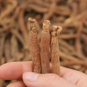 Muestra gratis <span class=keywords><strong>Royal</strong></span> <span class=keywords><strong>Honey</strong></span> en rodajas Ginseng rojo coreano - Product Image 3