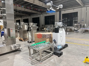 Robot de palettisation automatique pour sacs, cartons et caisses – Machine de palettisation robotisée – Empileur robotisé - Product Image 2