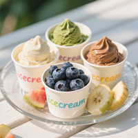 Ensemble de bols à crème glacée jetables en kraft personnalisés, étanches, biodégradables, avec couvercle et cuillère en PE pour nouilles et sucettes
