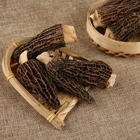 Prix Préférentiel Morilles de Haute Qualité, Champignons Morilles Cultivées Biologiques Séchées
