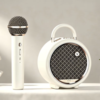 Haut-parleur karaoké portable TWS avec 2 micros sans fil, Jelly 6.0 Bluetooth 10W 2000mAh Audio rechargeable