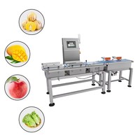 Báscula de Control de Peso Automática Ligera para Líneas de Empaquetado de Alimentos, Bebidas, Dulces y Snacks con Sensor de Alta Precisión