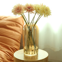 Vases décoratifs pour salon, arrangement floral, verre transparent, articles décoratifs de table haut de gamme