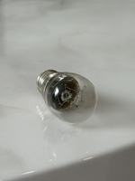 Ampoule de four E14 300 ℃   Résistant aux hautes températures 110V~250V, 15W
