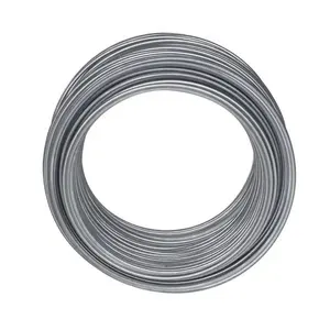 Fil de reliure en fer galvanisé Emballage personnalisé dans les 7 jours Coupe libre Fil d'acier ciel en acier 3.0mm 2.5mm 2.0mm