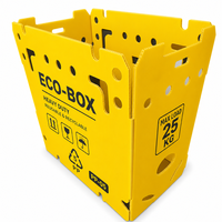 Boîte en plastique PP ondulé réutilisable pour fruits et légumes, conteneur d'emballage alimentaire certifié FDA et EU FCM