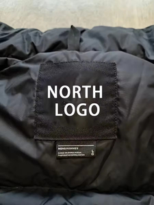 2025 chaquetas acolchadas de cara norte de lujo personalizadas para hombre, tela de alta calidad de invierno con capucha Lisa para ropa de invierno - Product Image 5