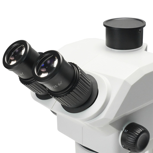 กล้องจุลทรรศน์สเตอริโอ BestScope BS-3028T2 ภาพสามมิติ WF10X/22 มม. แบบสามตา สำหรับการศึกษา การวิจัยในห้องปฏิบัติการ และการแพทย์ - Product Image 5