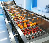 Automatische temperatuurregeling ozonwater voor fruitdesinfectie bubbelwasmachine